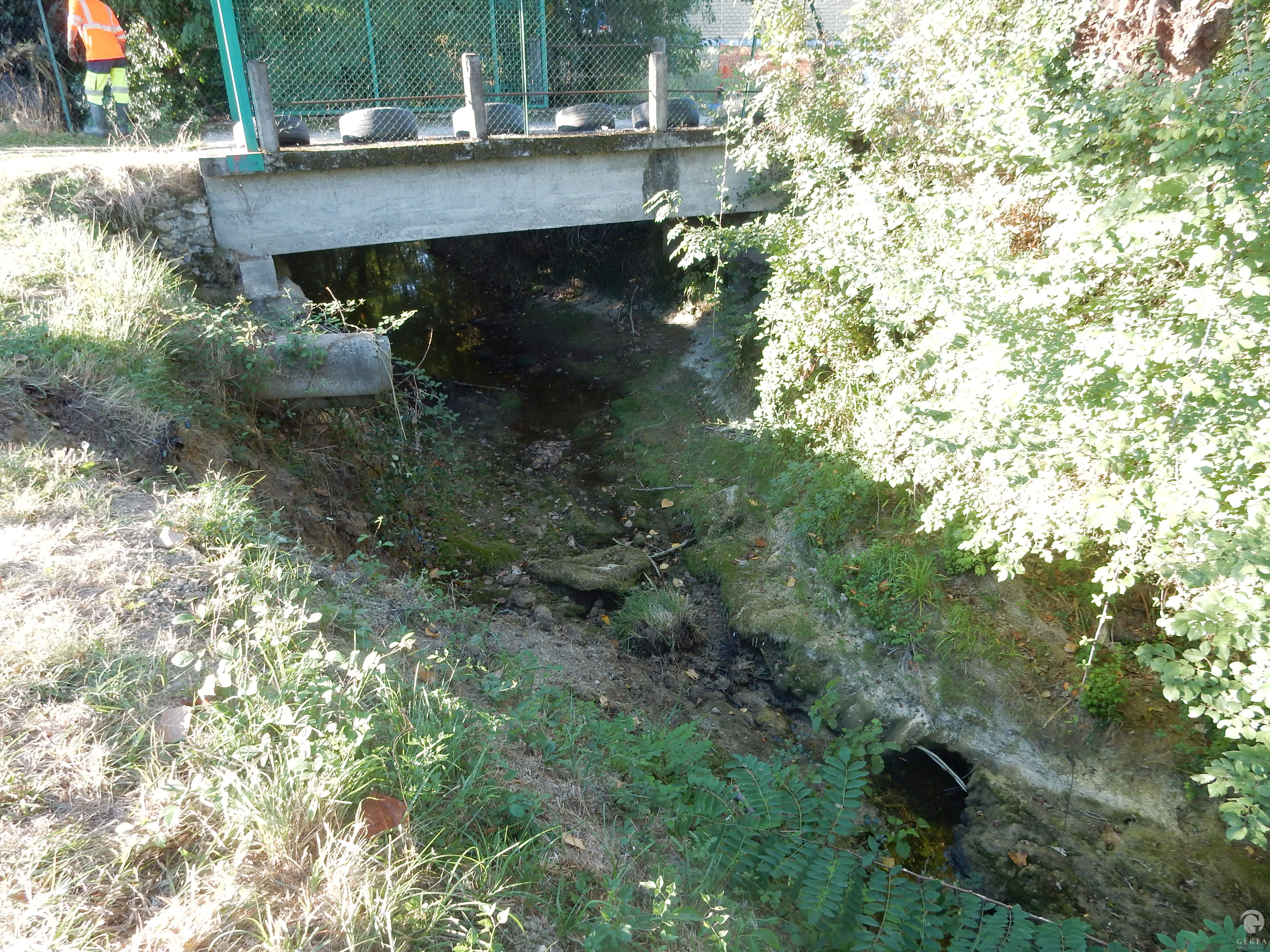 Activité Géréa Pêche de sauvetage à l’électricité dans cadre de Travaux Sous Cours d’Eau (TSCE) dans le ruisseau du Bernazobre (81)
