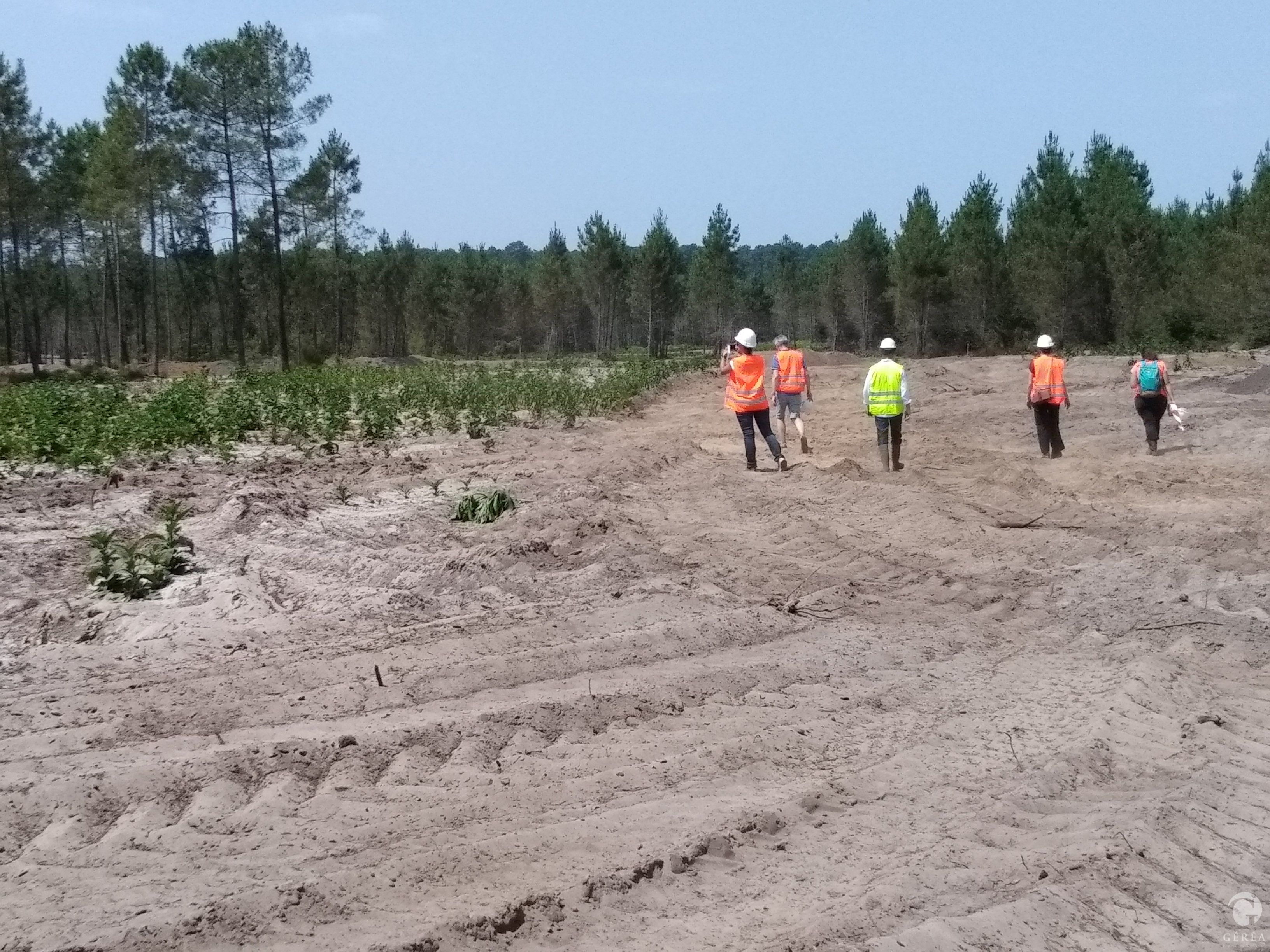 Image référence Construction du Center Parc Pindères et Beauziac (47)