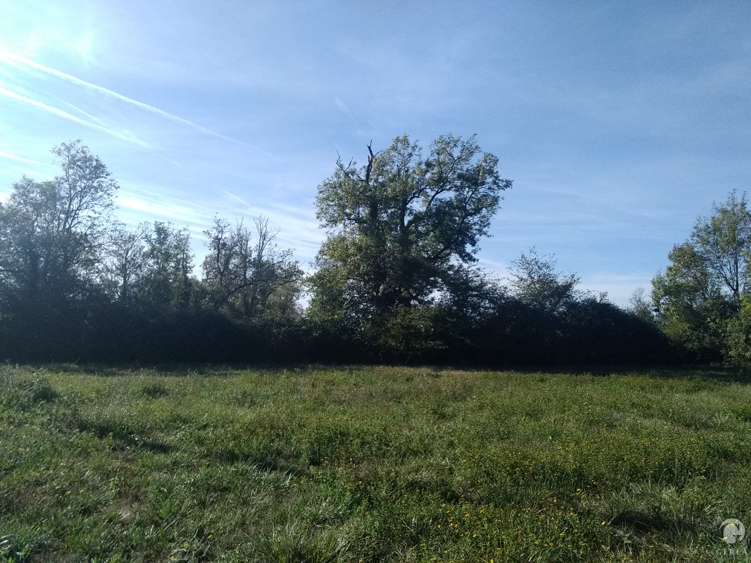 Activité Géréa Etudes environnementales - Projet AC LUDON (33)