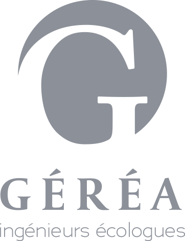 .logo-GEREA-gris-2