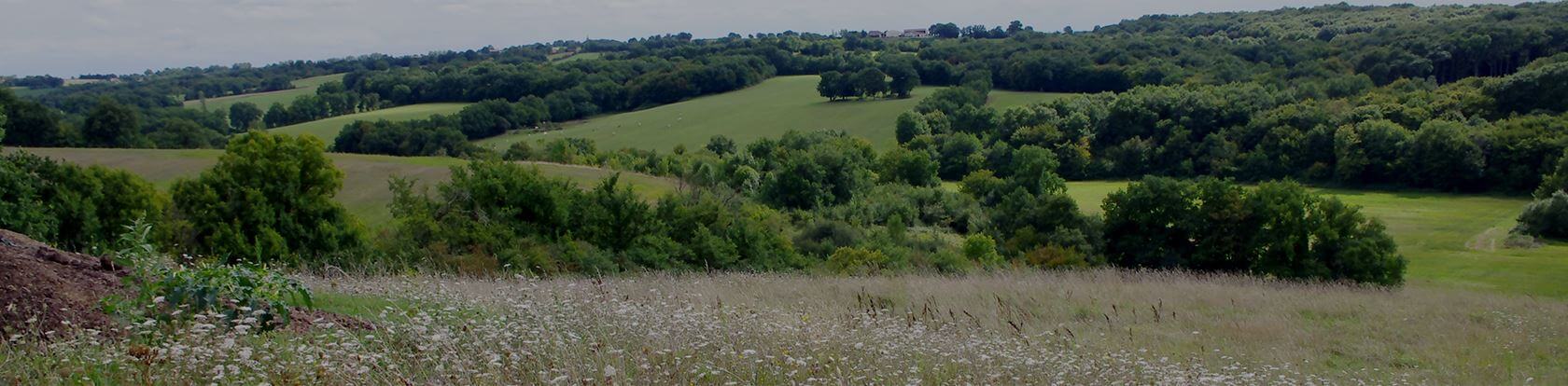 plaine vallonées