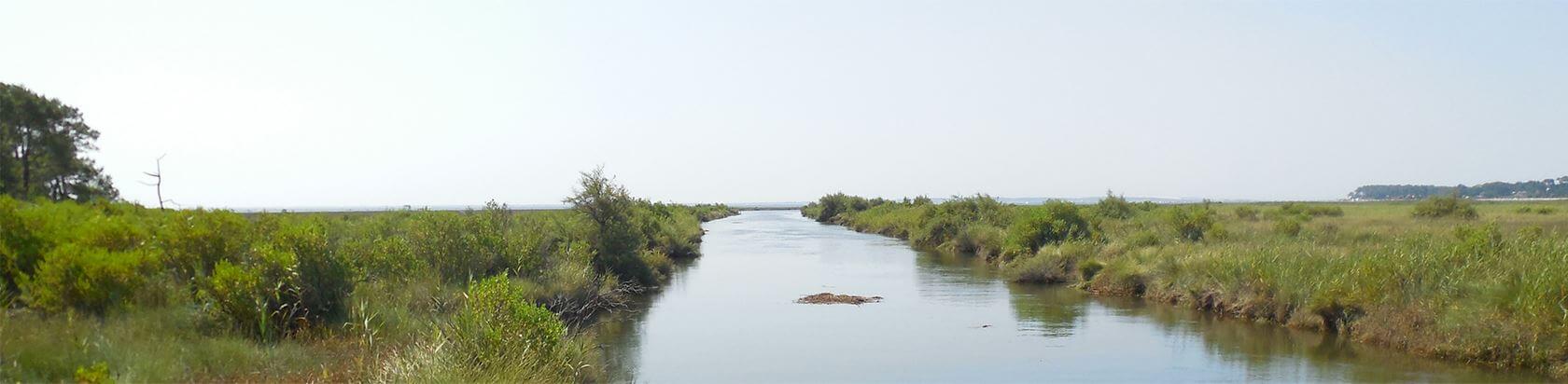 cours d'eau